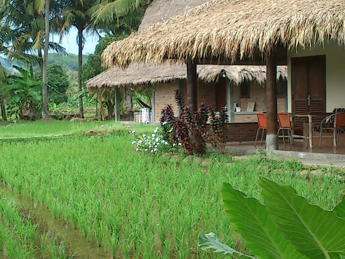 Cimajasquare Hotel & Restaurant Pelabuhan Ratu Buitenkant foto